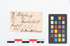 Etikett zu Bronzespiralring (NHMW-PRAE-025746)